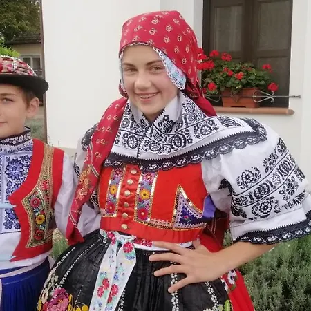 Nakonci Daire Vacenovice